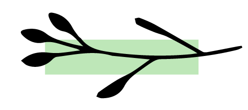 revel_twig01 vegan sugar-free gluten-free recipes