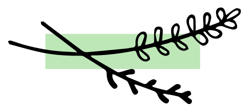 revel_twig02 vegan sugar-free gluten-free recipes